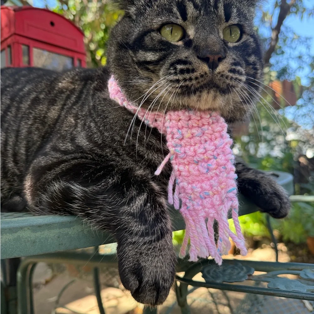 2 for 1 Cozy Cat / dog Scarf